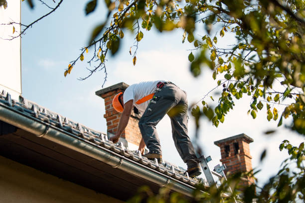 Best Roof Maintenance Services  in Prince George, VA